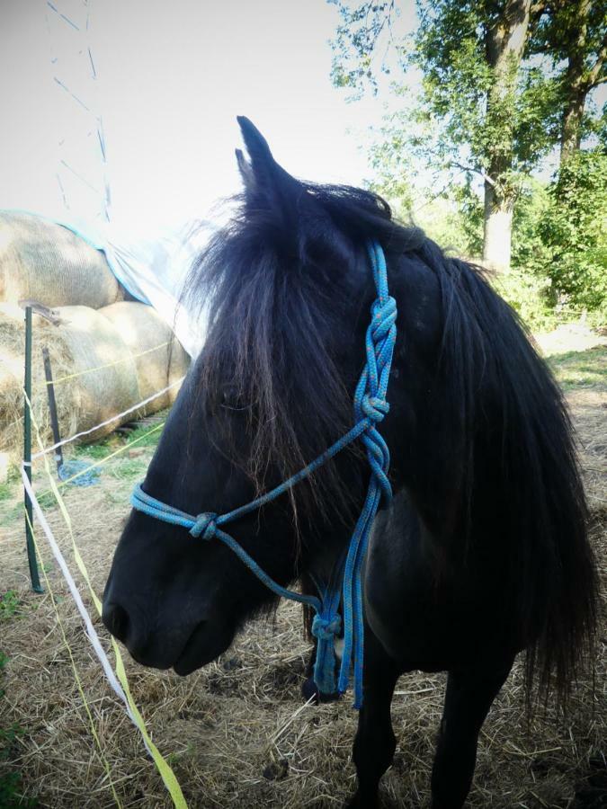 Venkovske Tiche Pastviny *